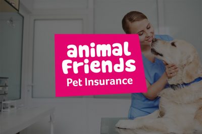 Calabrio and Animal Friends Insurance: Mastering contact centre adherence