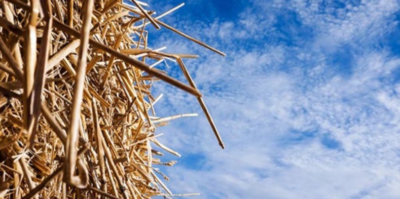 FINDING THE QUALITY NEEDLE IN A HAYSTACK OF CALLS