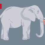 WHAT ELEPHANTS AND CUSTOMER EXPERIENCES HAVE IN COMMON